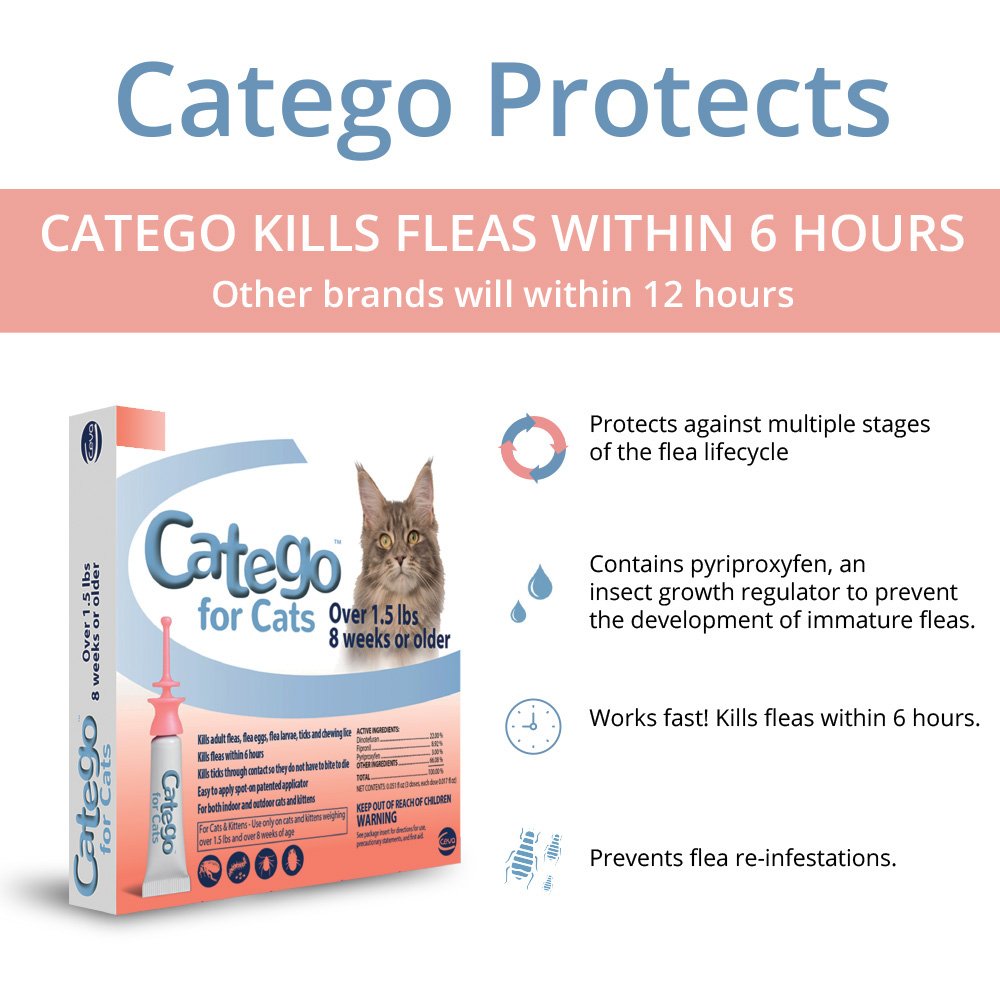 Kitten Cat Catego Flea & Tick Spot Treatment Cats 1.5+ Lb Single Dose 1 Month