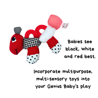 Caterpillar Teething and Sensory Toy in Black, White and Red, 9" - BIG FRENCHIES