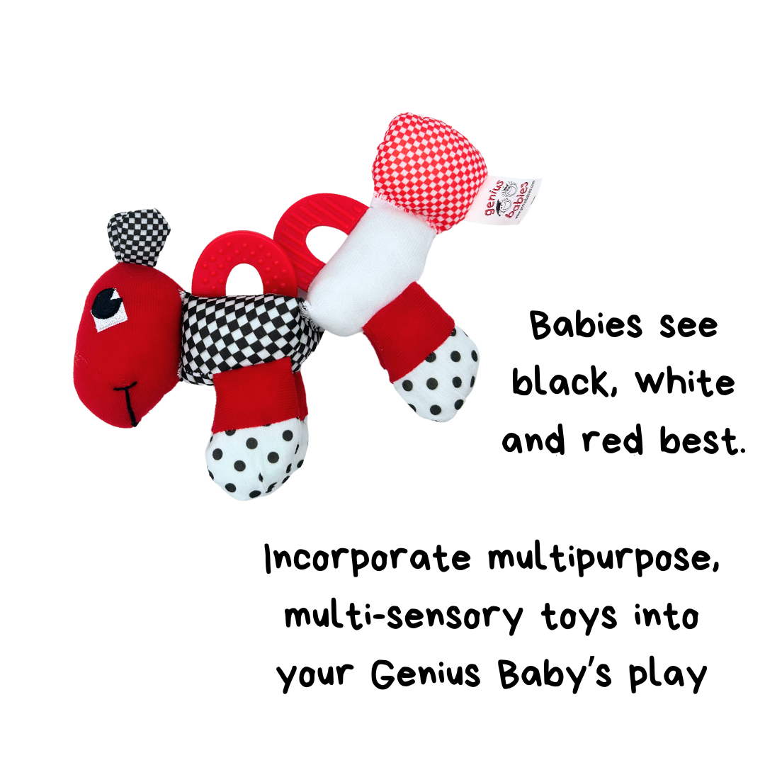 Caterpillar Teething and Sensory Toy in Black, White and Red, 9" - BIG FRENCHIES