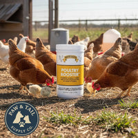 Rooster Booster Poultry Cell 16 oz + Poultry Booster 1.25 lb Poultry Care Bundle