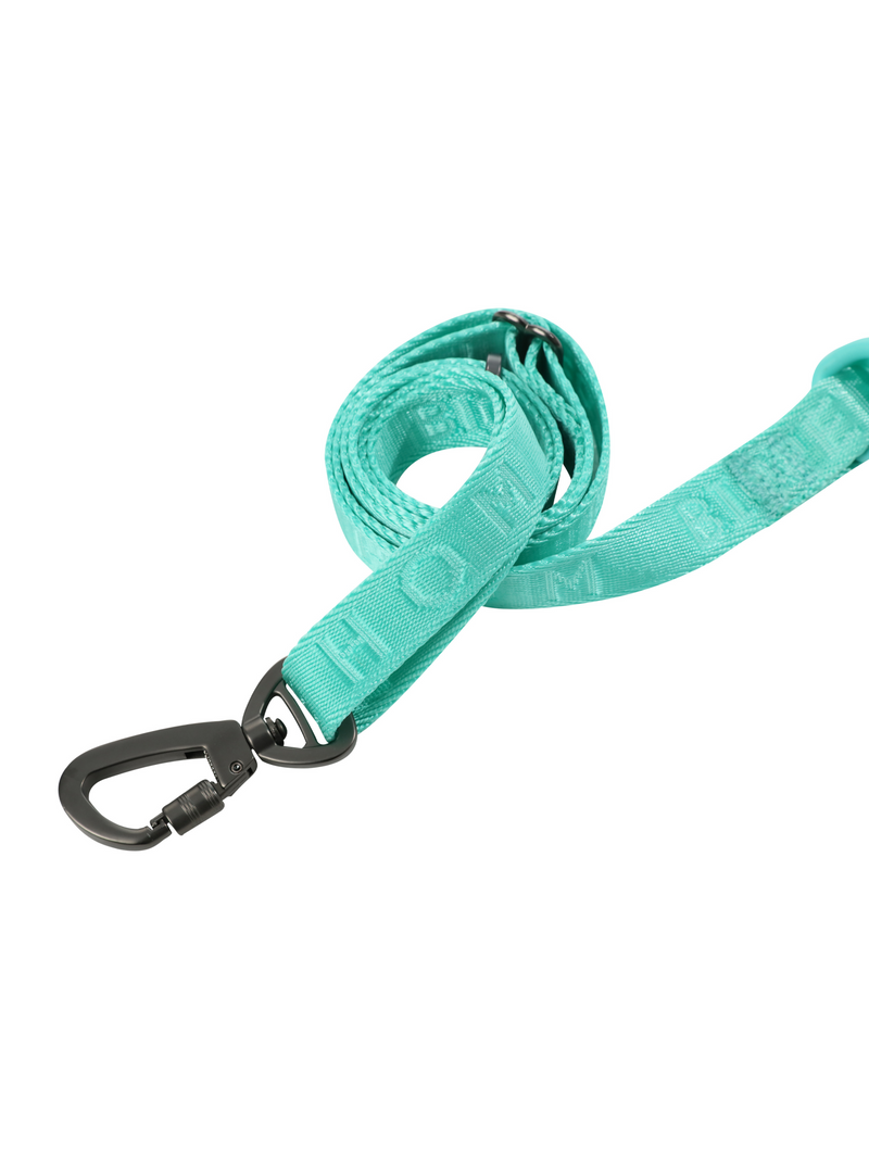 PADDED  ACTIVE  PET LEASH  - MINT GREEN-Pet Collars & Leashes-BIG FRENCHIES-pehomnyc