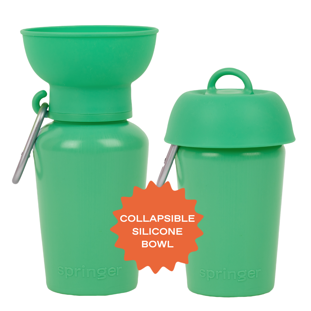 20oz Flip Dog Travel Water Bottle - BIG FRENCHIES