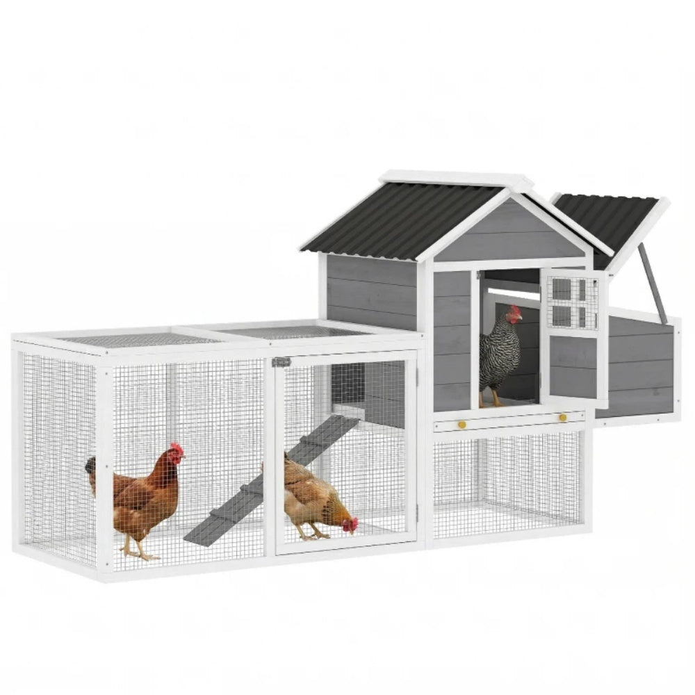 Chicken Coop
