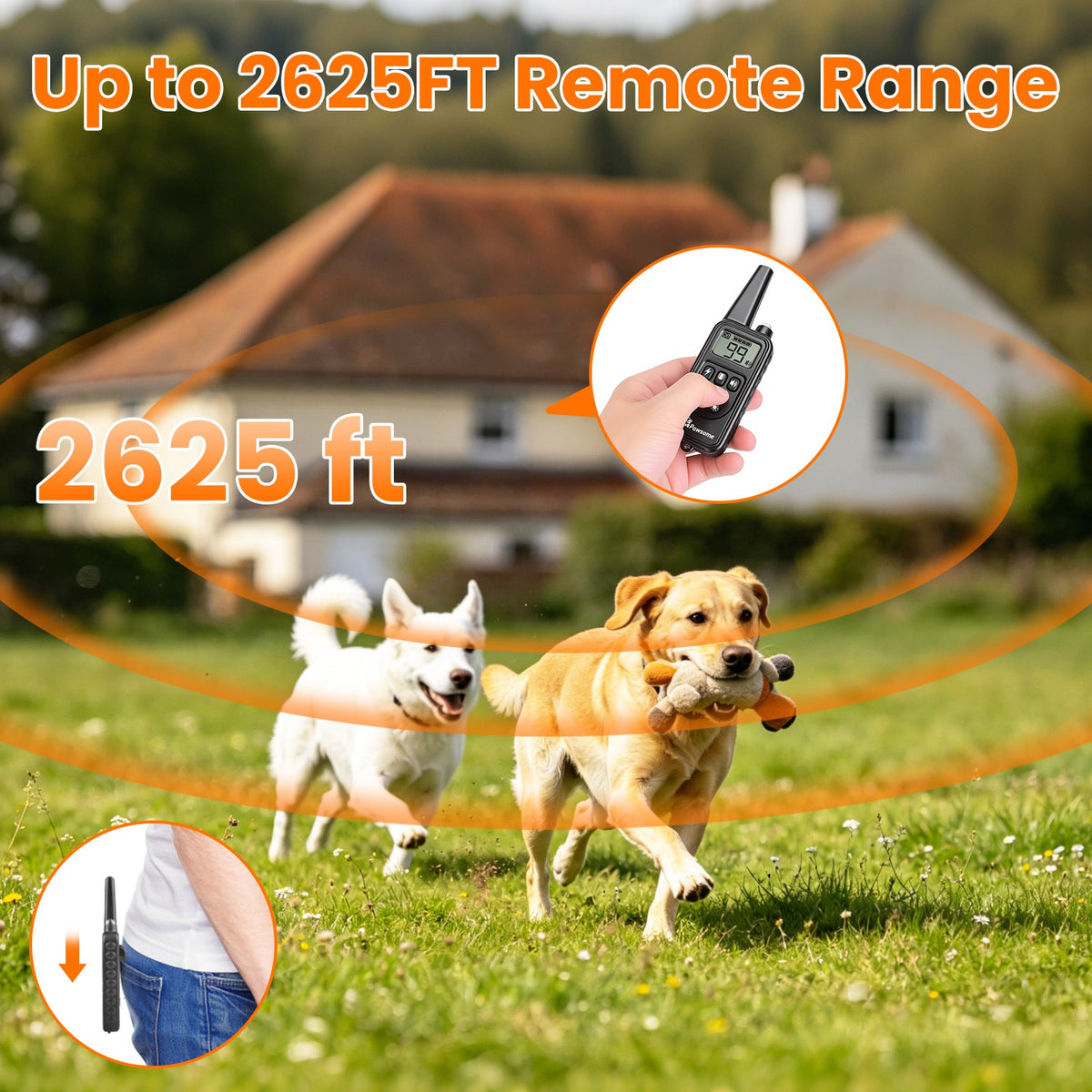 Dog Training Collar With Remote