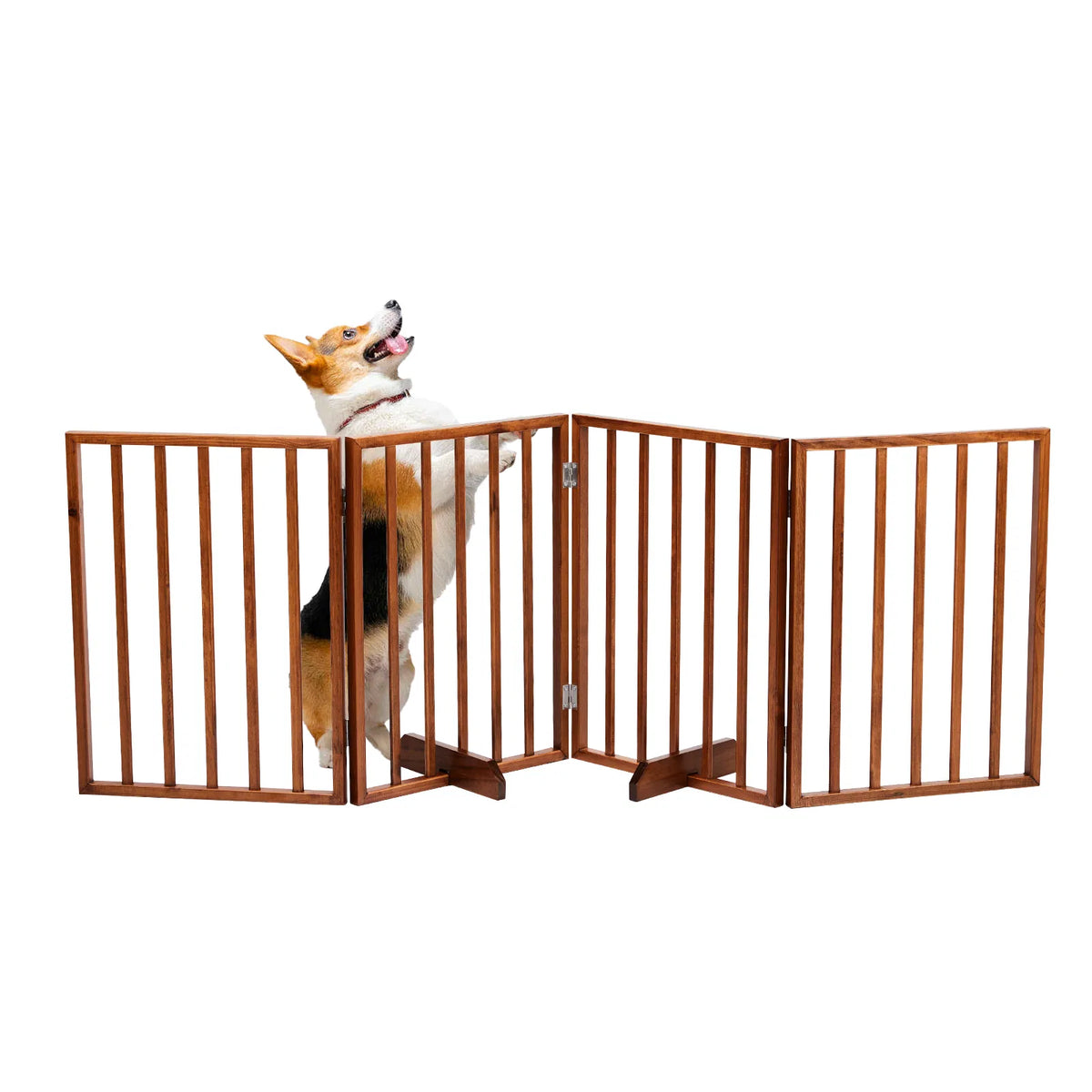 The Wooden Dog Fence Brown