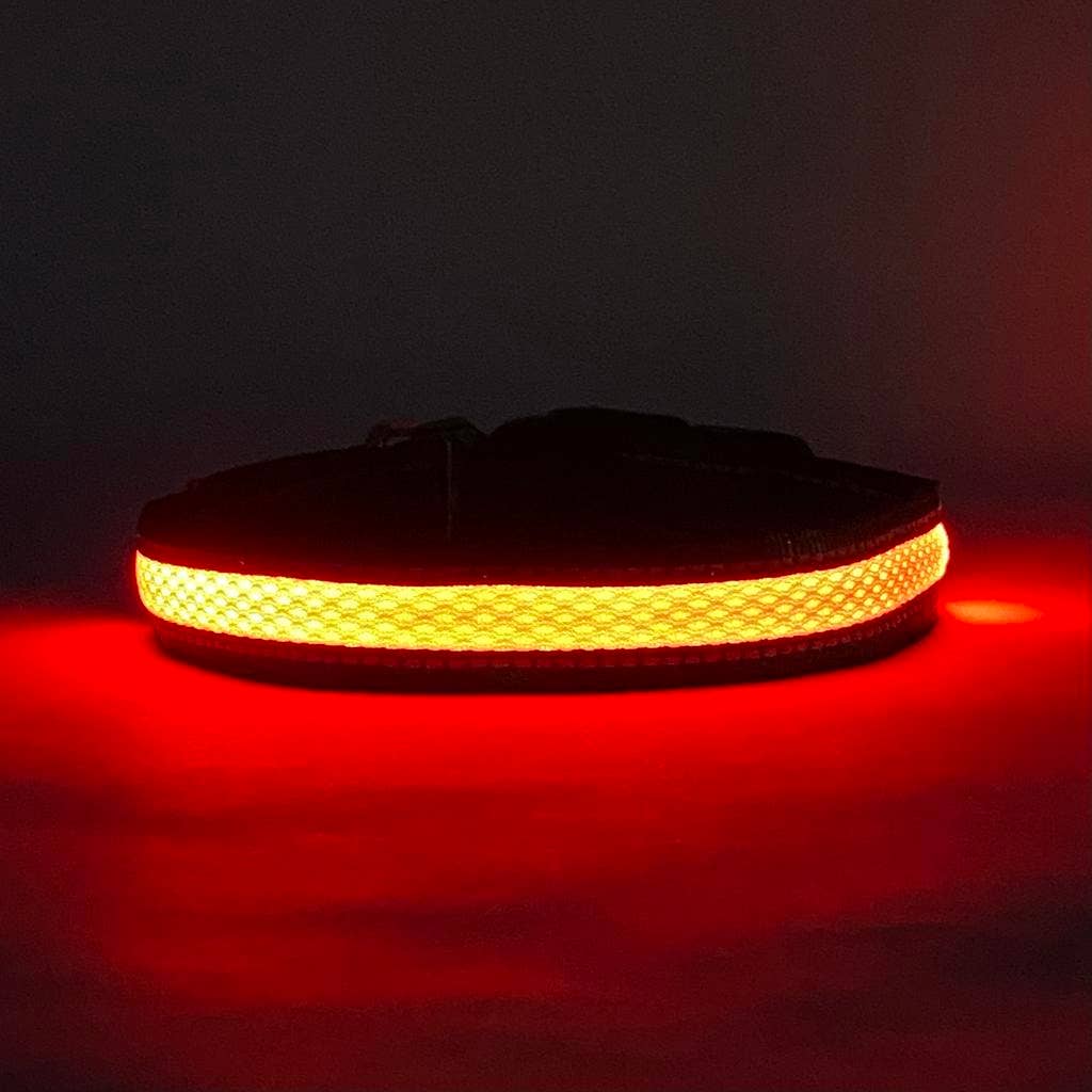 LED Dog Collar: Blue