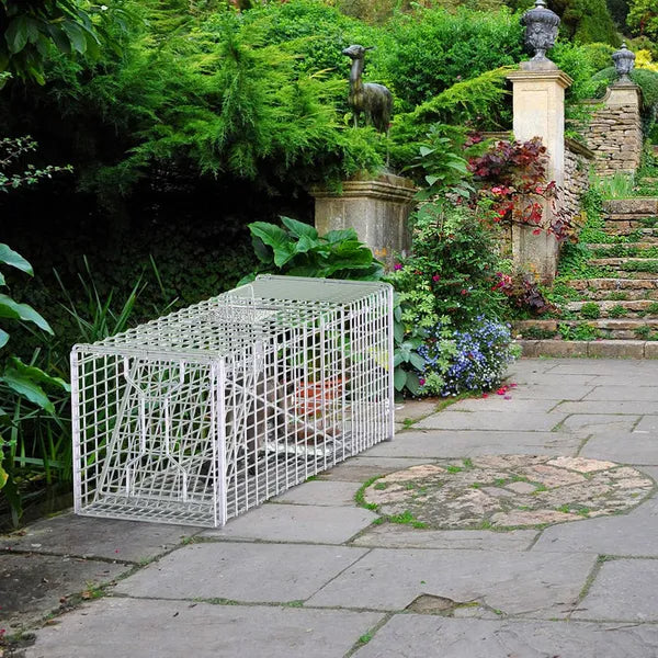 Live Animal Trap Cage 37x14x15in Folding Catch And Release Humane Cat Trap Galvanized Iron For Raccoons Foxes Coyotes St