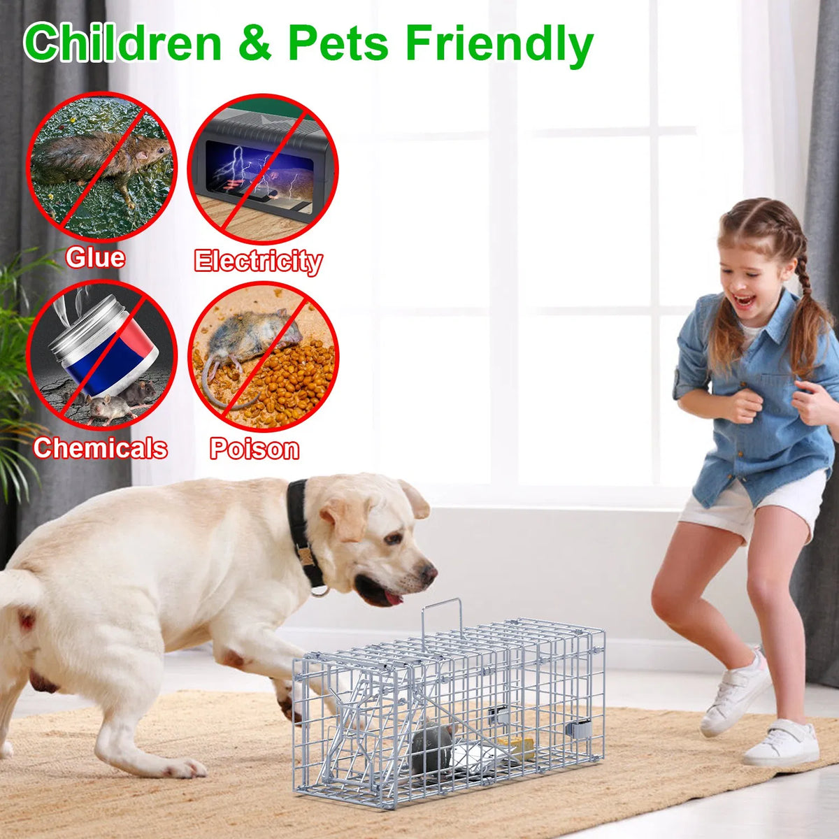2-Pack Humane Mouse Traps – Instant-Lock One-Way Door, 2 mm Galvanized Metal, Safe for Kids & Pets, Indoor/Outdoor Reusa