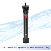 20 Gallon aquarium Starter Kit with LED Lighting - BIG FRENCHIES
