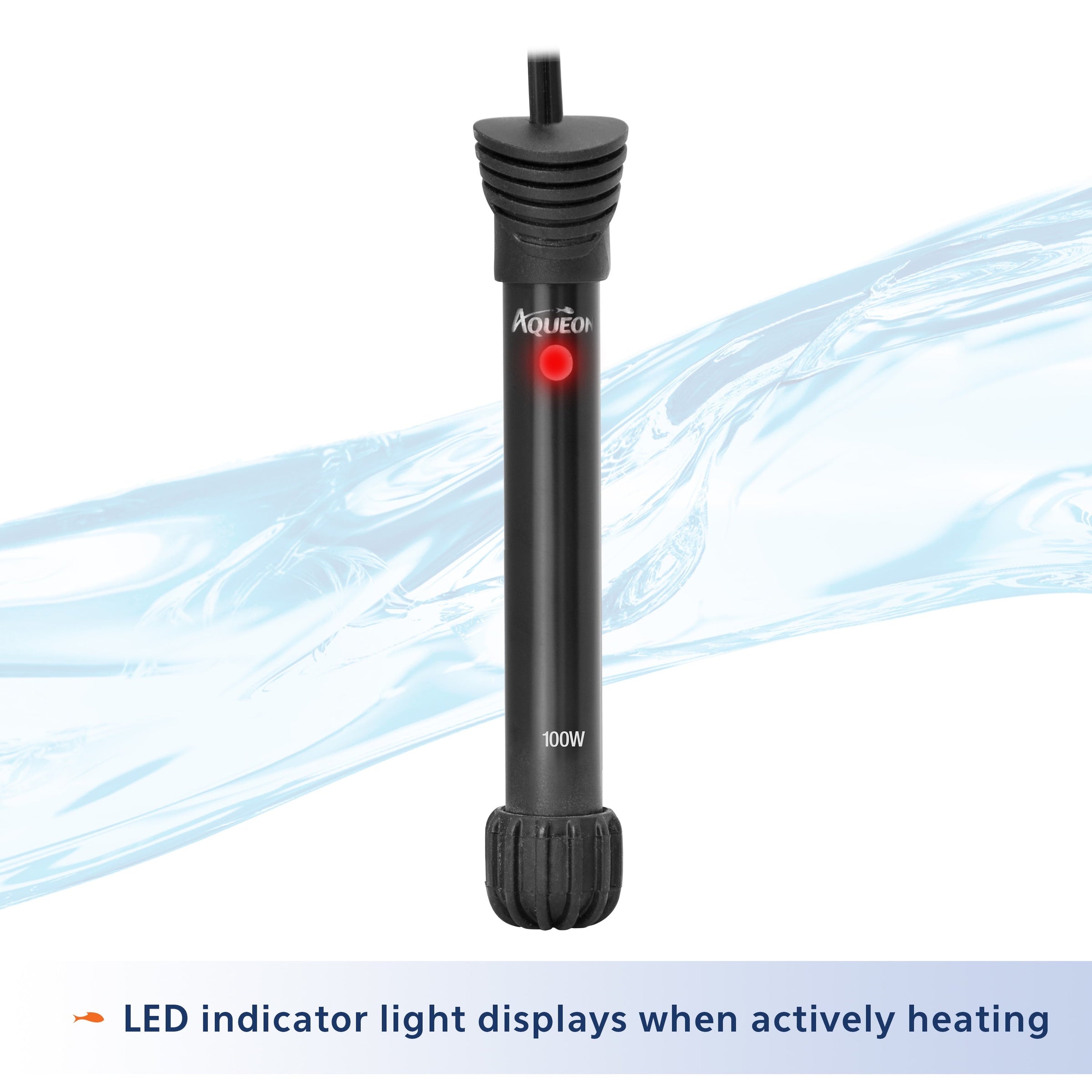 20 Gallon aquarium Starter Kit with LED Lighting - BIG FRENCHIES