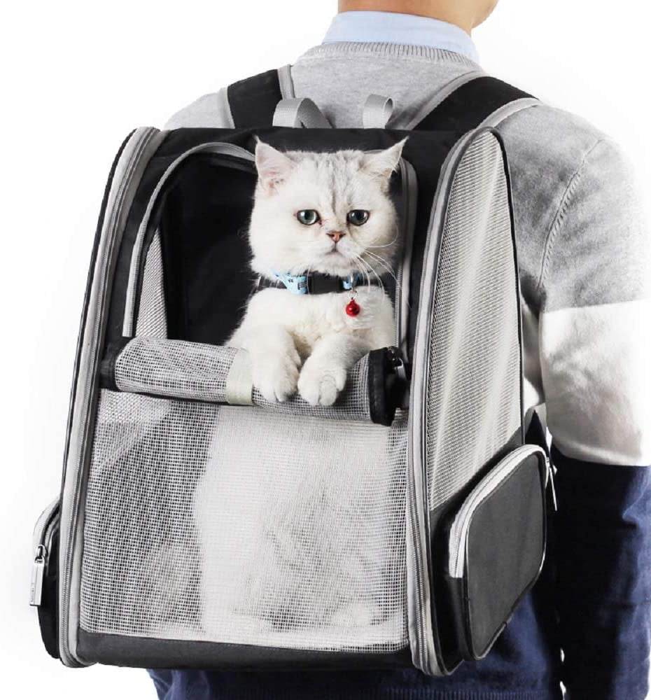 Texsens Innovative Traveler Bubble Backpack Pet Carriers for Cats and Dogs (Black) - BIG FRENCHIES