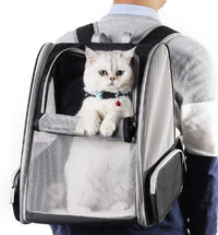 Bubble Backpack Pet Carriers for Cats and Dogs - BIG FRENCHIES