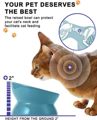 Elevated Cat Food Bowl, Ceramic Raised Cat Bowl, Tilt Angle Protect Cat'S Spine, anti Vomiting Cat Dish, Backflow Prevention, Lake Blue - BIG FRENCHIES