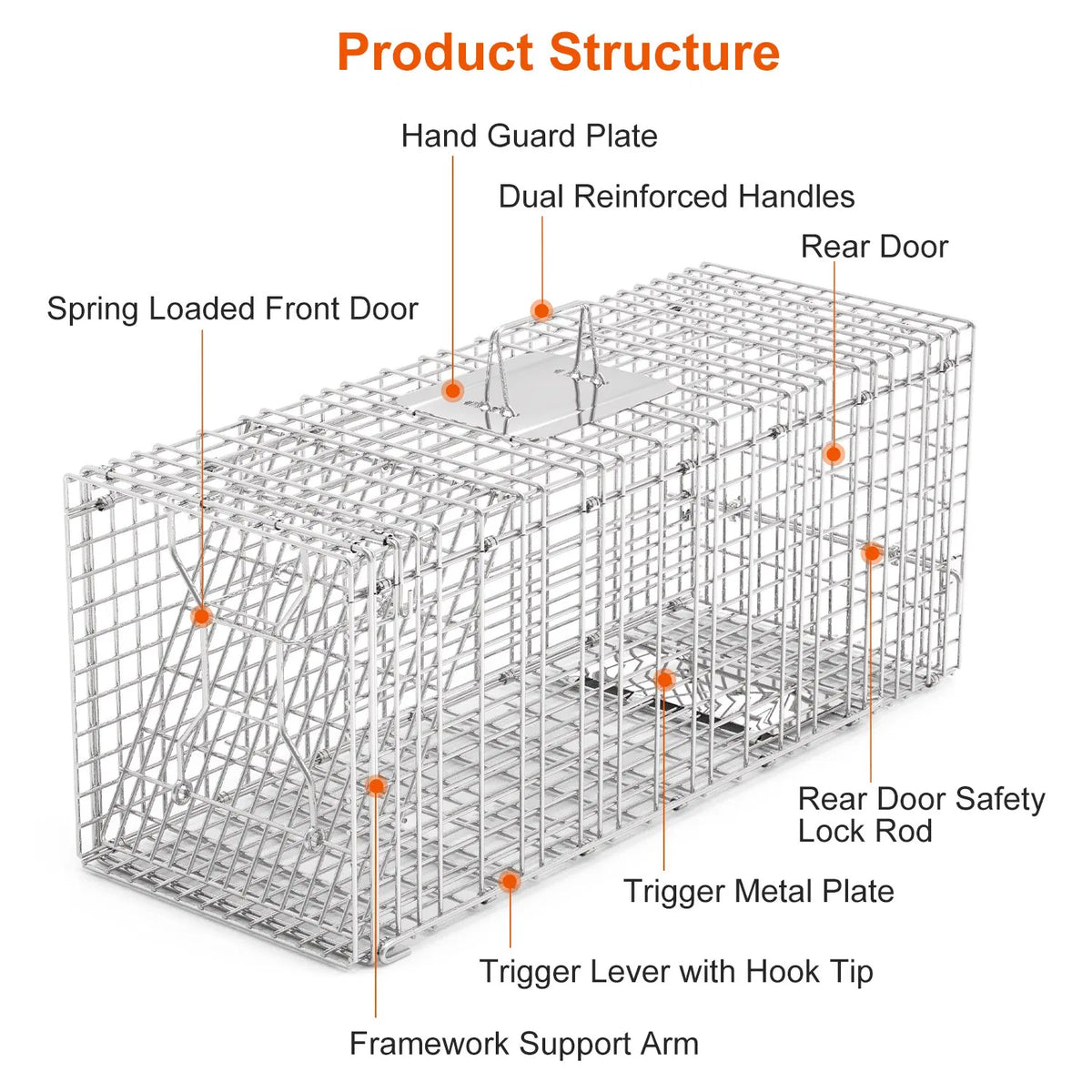 Humane Animal Trap Cage (30.51x11.02x11.81in) - Galvanized Sturdy Wire Mesh, Sensitive Trigger & Dual Doors, Handle Guar