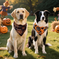 Dog Bandanas 2PCS Halloween Pumpkin Spider Web Large Dogs