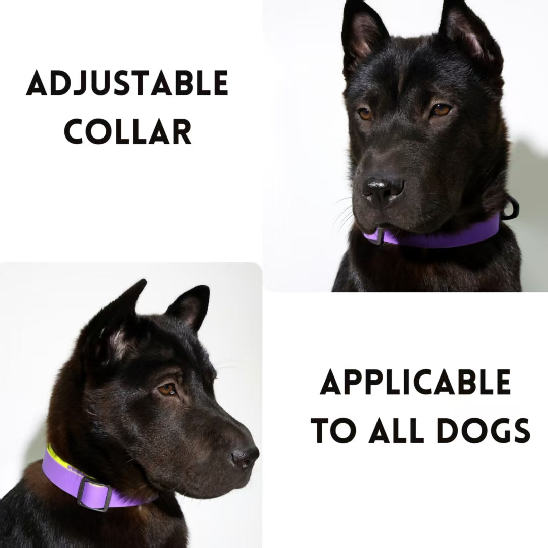 Honeycomb Embossed Dual-Color Pet Leash Set Is Stylish And Fashionable. The Embossed Surface Enhances The Leash's Grip, 
