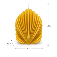 Architectural Seashell Design Beeswax Candle