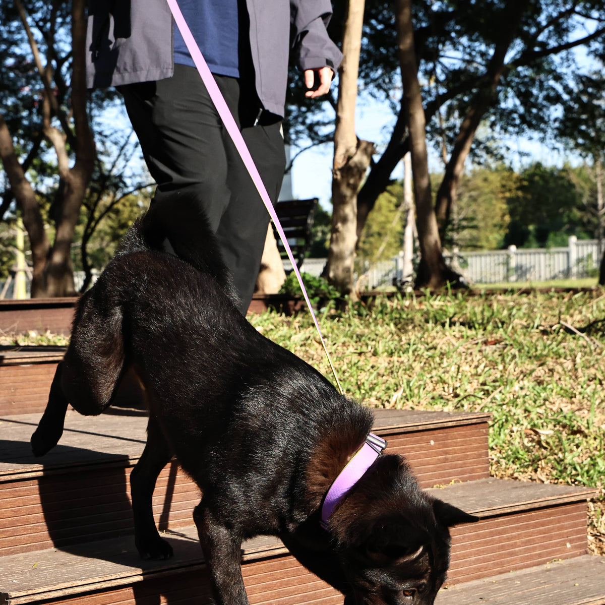 Honeycomb Embossed Dual-Color Pet Leash Set Is Stylish And Fashionable. The Embossed Surface Enhances The Leash's Grip, 