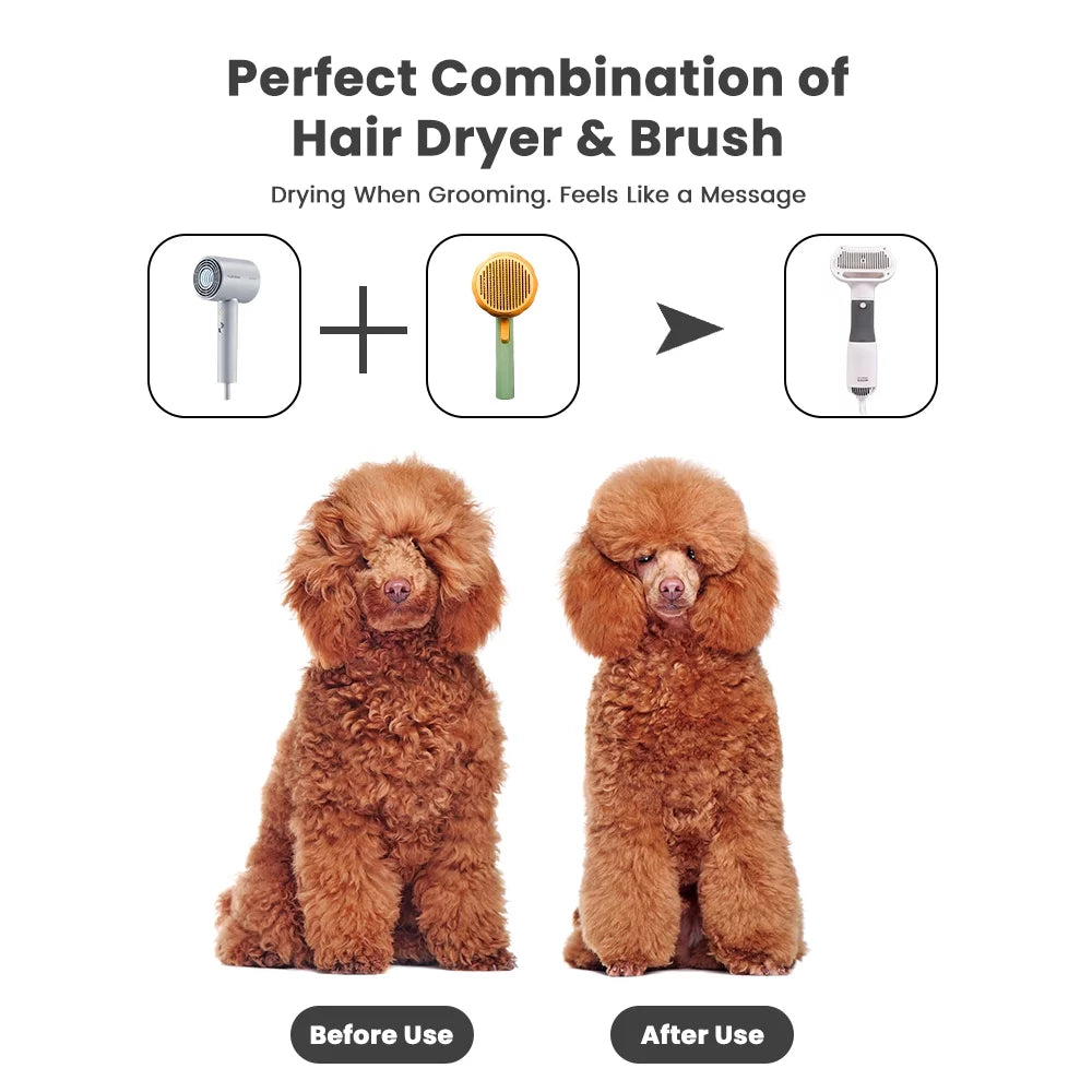 Pet Grooming Dryer for Small Dog and Cat - BIG FRENCHIES