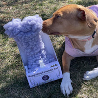 HuggleHug™ Lavender Bone & 2oz Calming Spray Dog Toy Set - BIG FRENCHIES