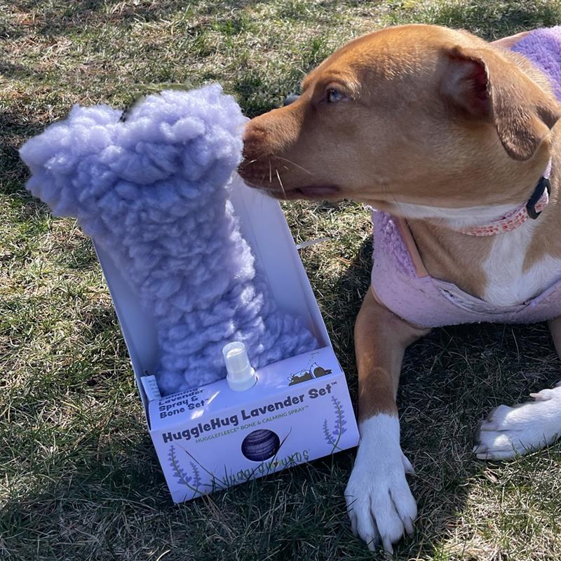 HuggleHug™ Lavender Bone & 2oz Calming Spray Dog Toy Set - BIG FRENCHIES