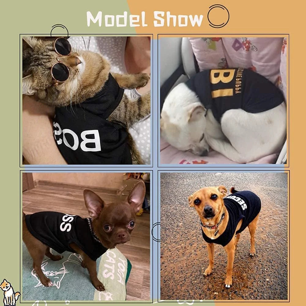 4 Packs Dog Shirts for Small Dog - BIG FRENCHIES
