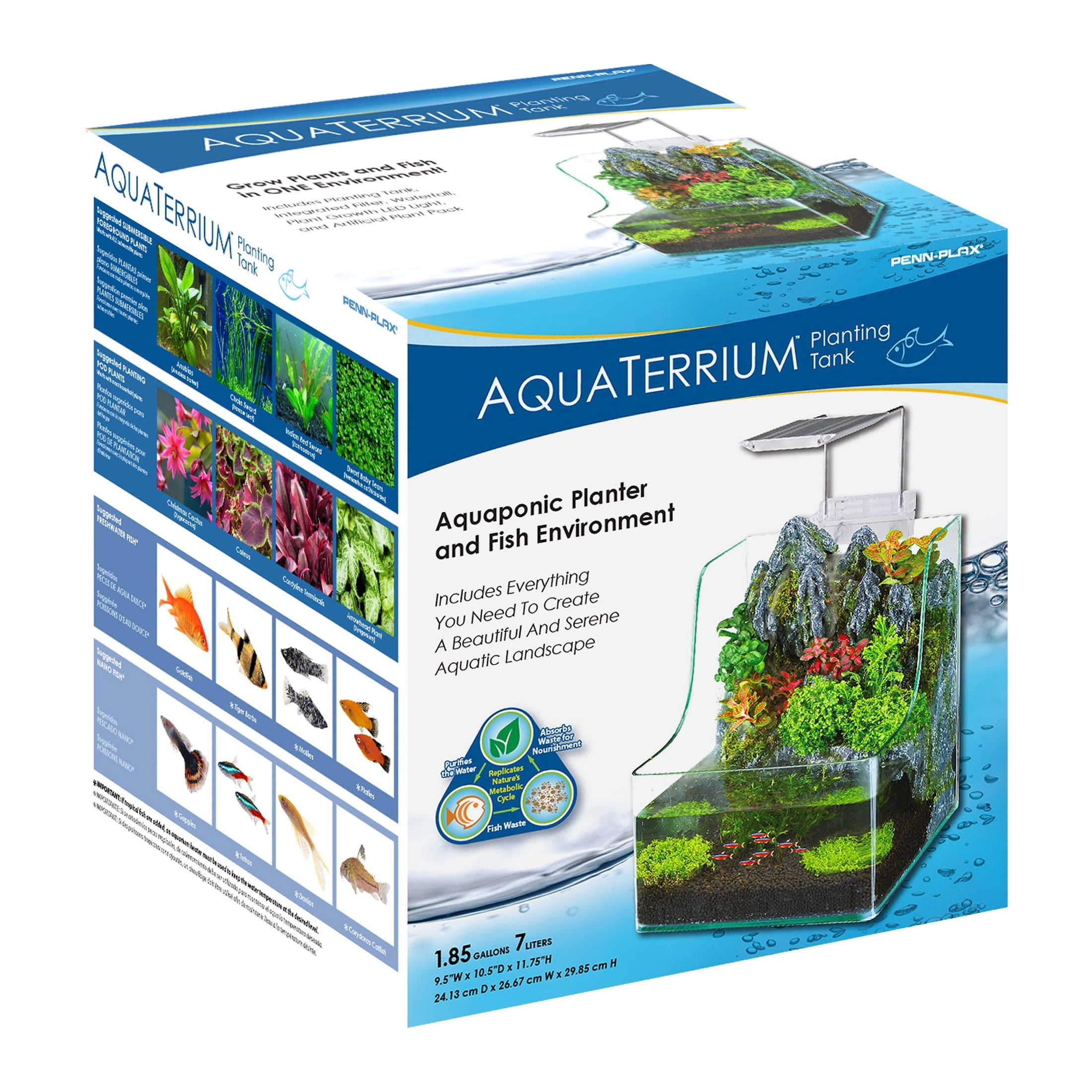 1.85 Gallons Glass Aquarium for Live Plants and Fish - BIG FRENCHIES