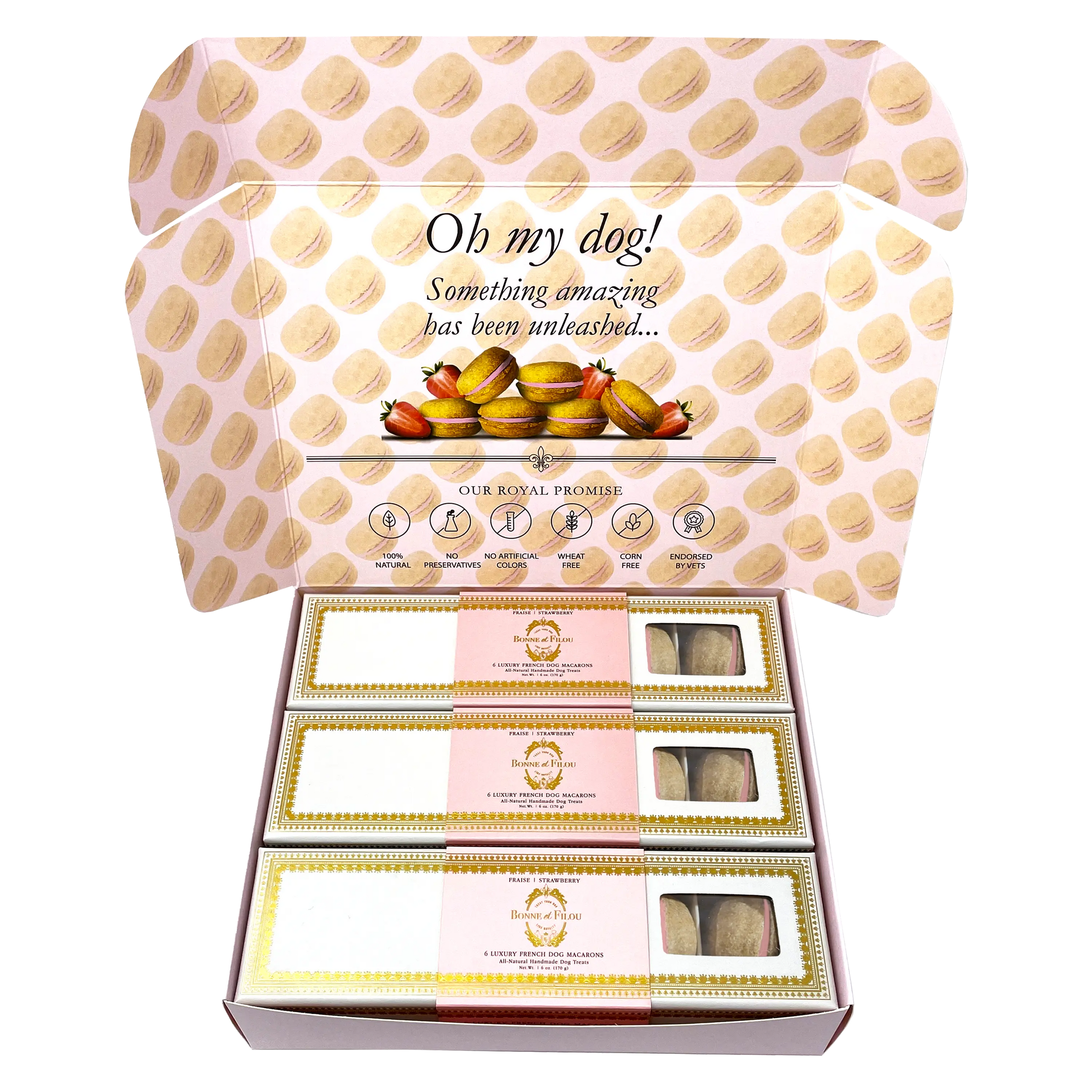 Dog Macaron Combo Gift Box (18 French Dog Macarons) - BIG FRENCHIES