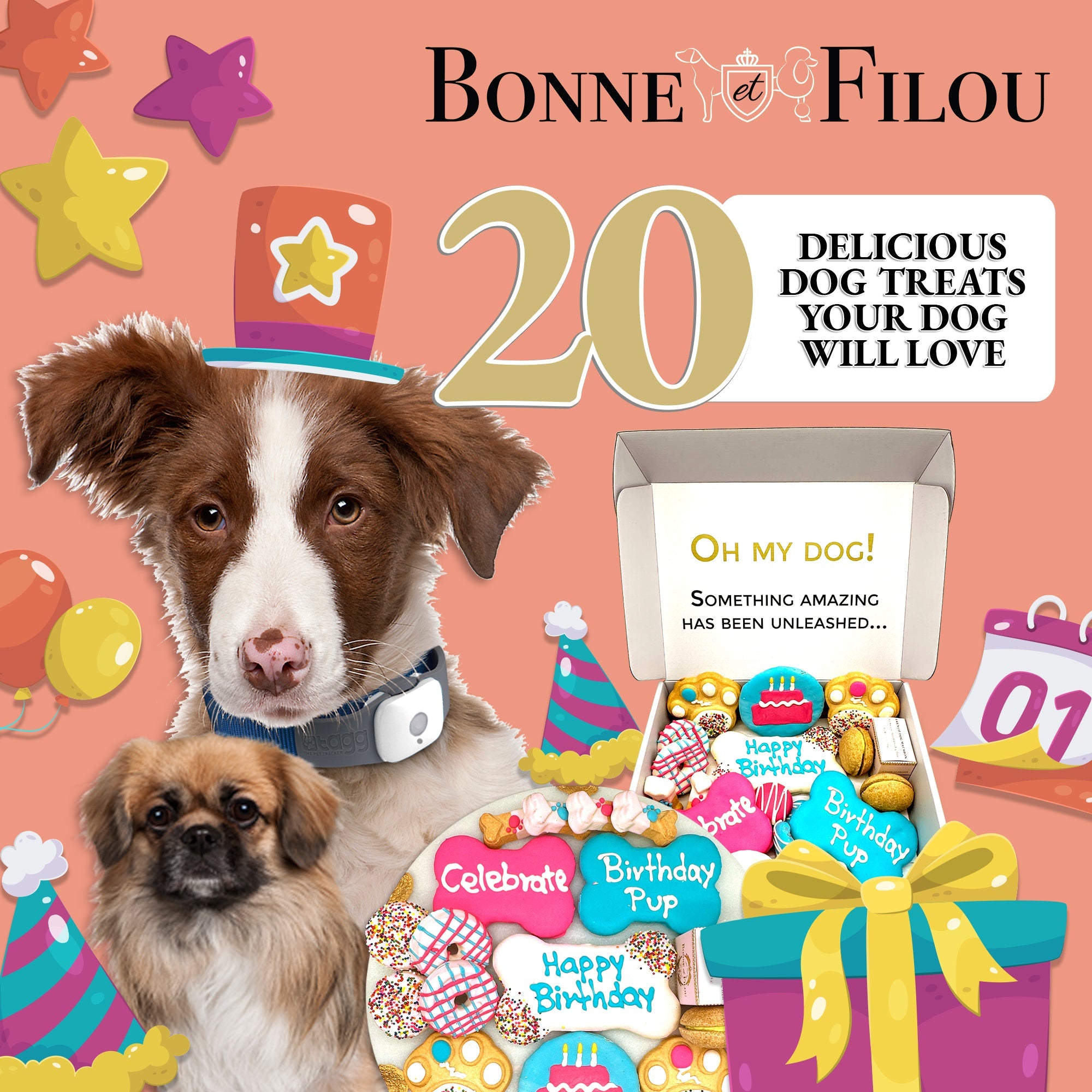 Happy Birthday Dog Treats Gift Box - BIG FRENCHIES