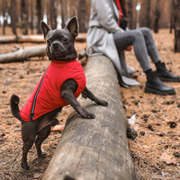Sustainable Eco-Friendly Dog Jacket / Vest - Made in Ukraine - BIG FRENCHIES