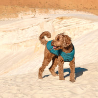 Sustainable Eco-Friendly Dog Jacket / Vest - Made in Ukraine - BIG FRENCHIES
