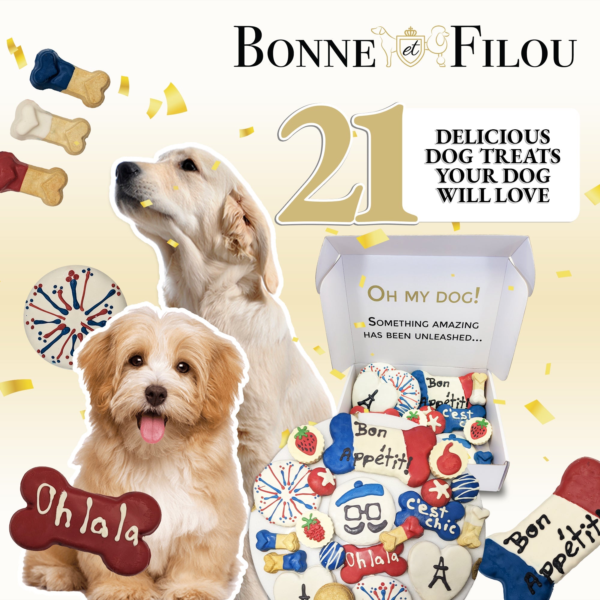 French Themed Dog Treats Gift Box - BIG FRENCHIES