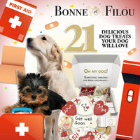 Get Well Soon Themed Dog Treats Gift Box - BIG FRENCHIES