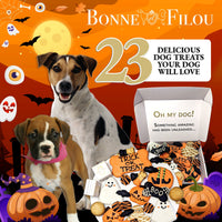 Halloween Themed Dog Treats Gift Box - BIG FRENCHIES