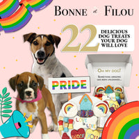 Pride Themed Dog Treats Gift Box - BIG FRENCHIES