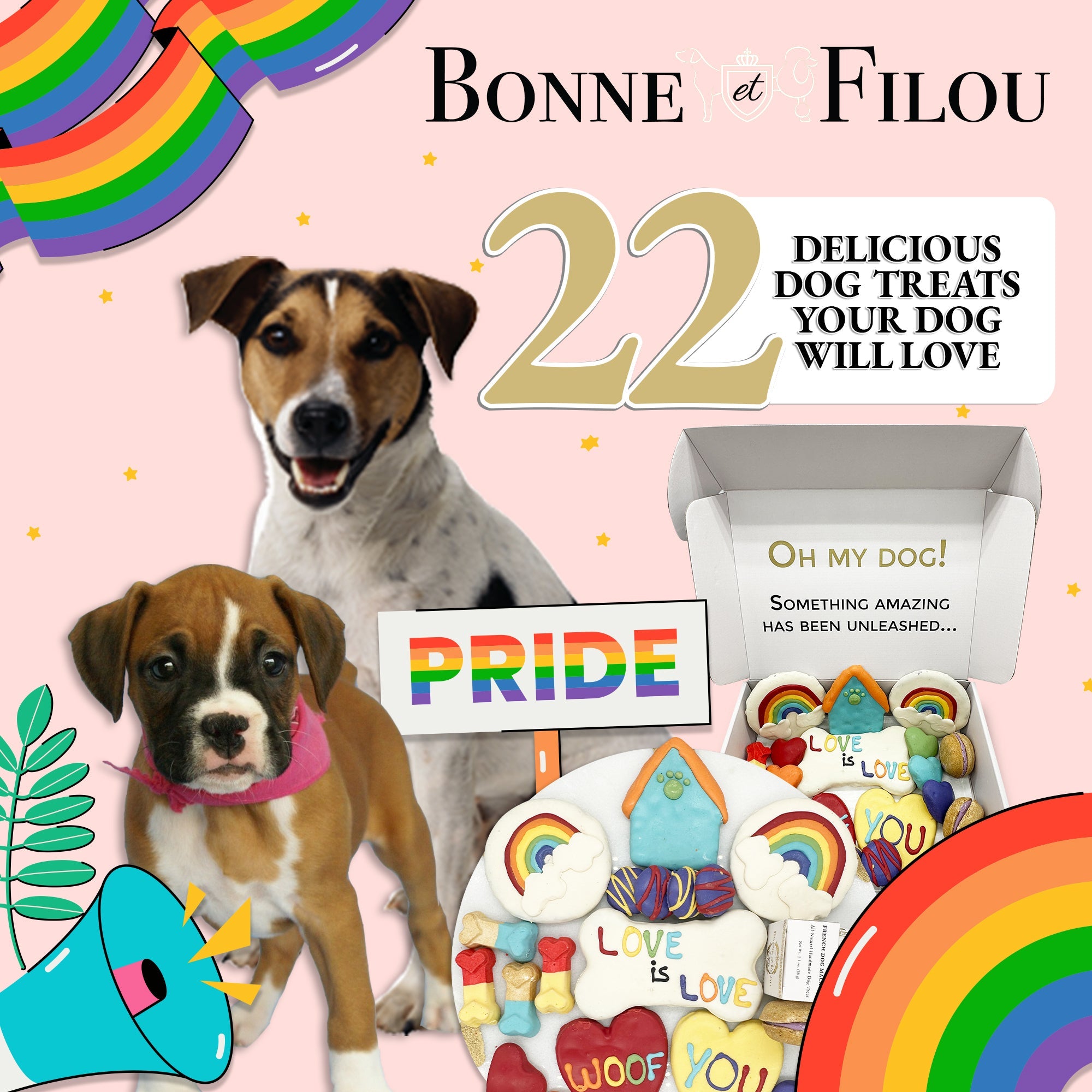 Pride Themed Dog Treats Gift Box - BIG FRENCHIES