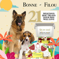 Summer Themed Dog Treats Gift Box - BIG FRENCHIES