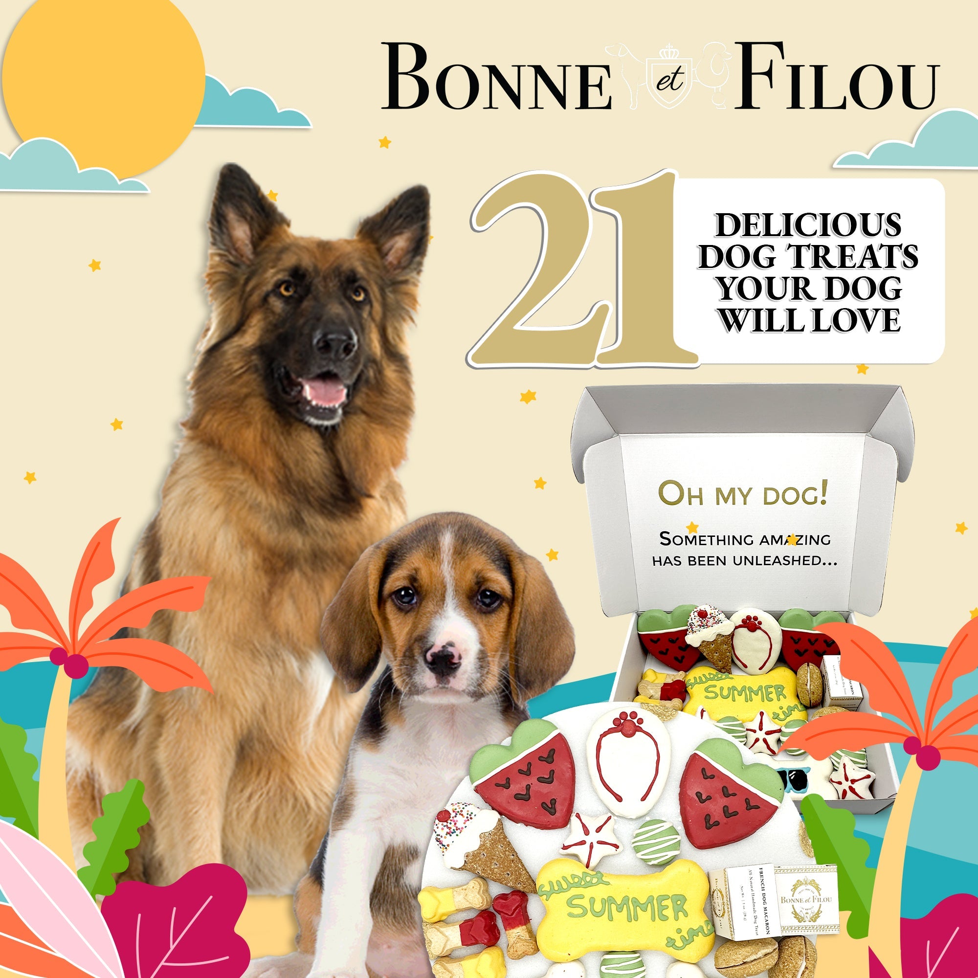 Summer Themed Dog Treats Gift Box - BIG FRENCHIES