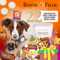 Thankful Themed Dog Treats Gift Box - BIG FRENCHIES