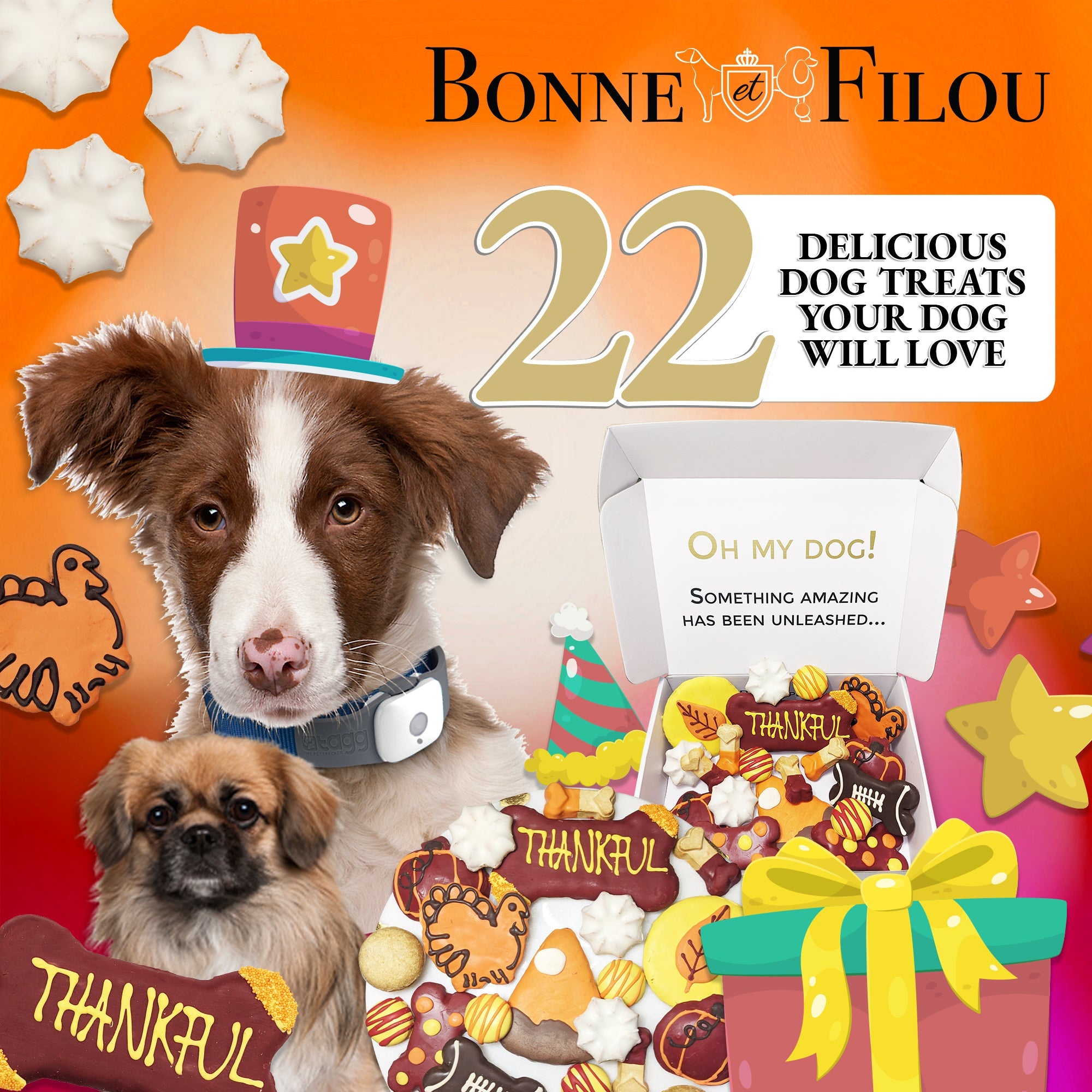Thankful Themed Dog Treats Gift Box - BIG FRENCHIES