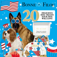 USA Themed Dog Treats Gift Box - BIG FRENCHIES