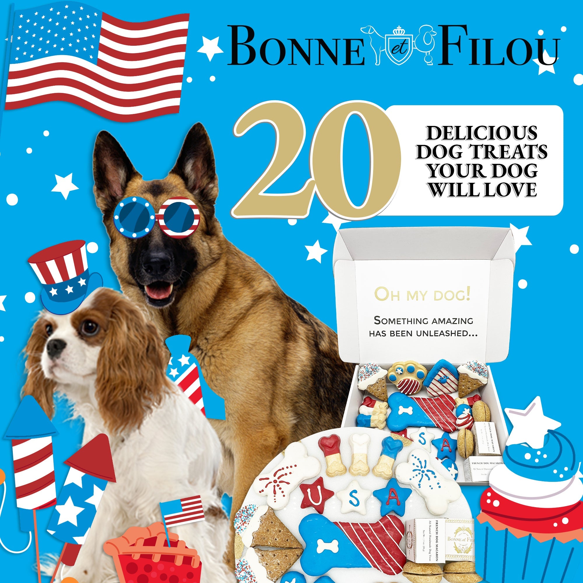 USA Themed Dog Treats Gift Box - BIG FRENCHIES