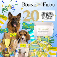 Winter Themed Dog Treats Gift Box - BIG FRENCHIES