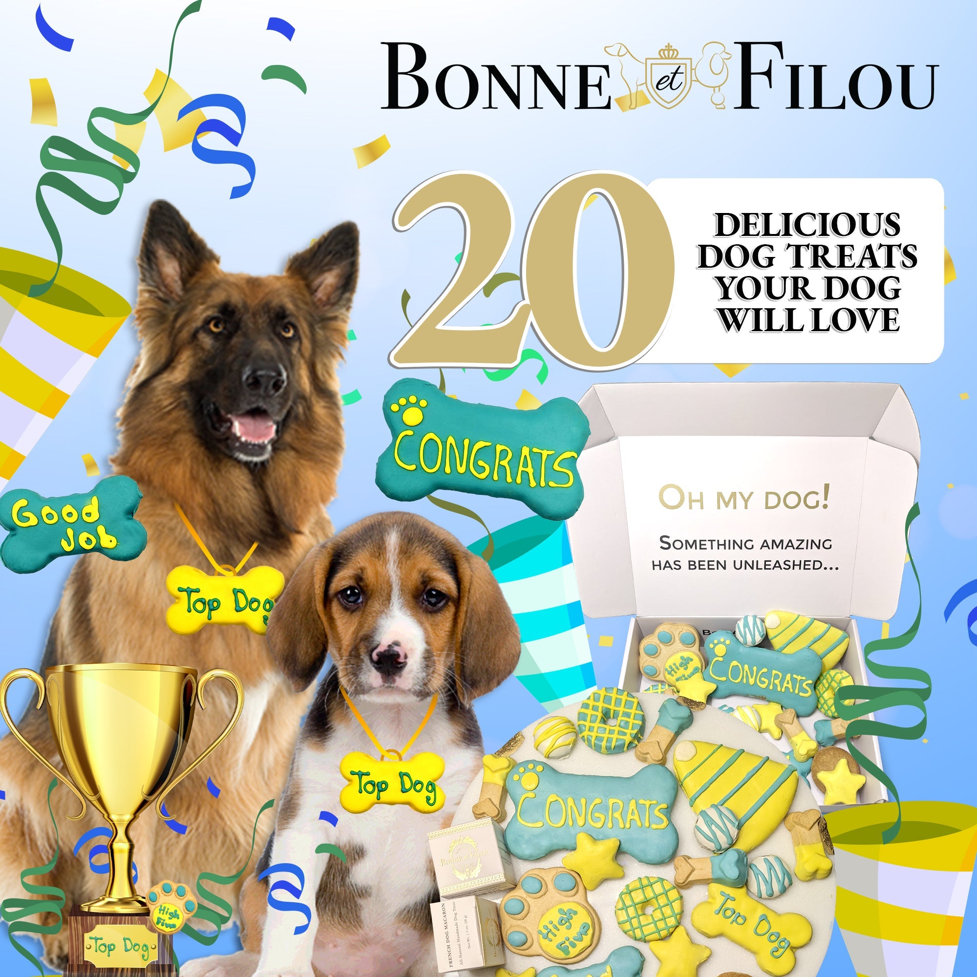 Winter Themed Dog Treats Gift Box - BIG FRENCHIES