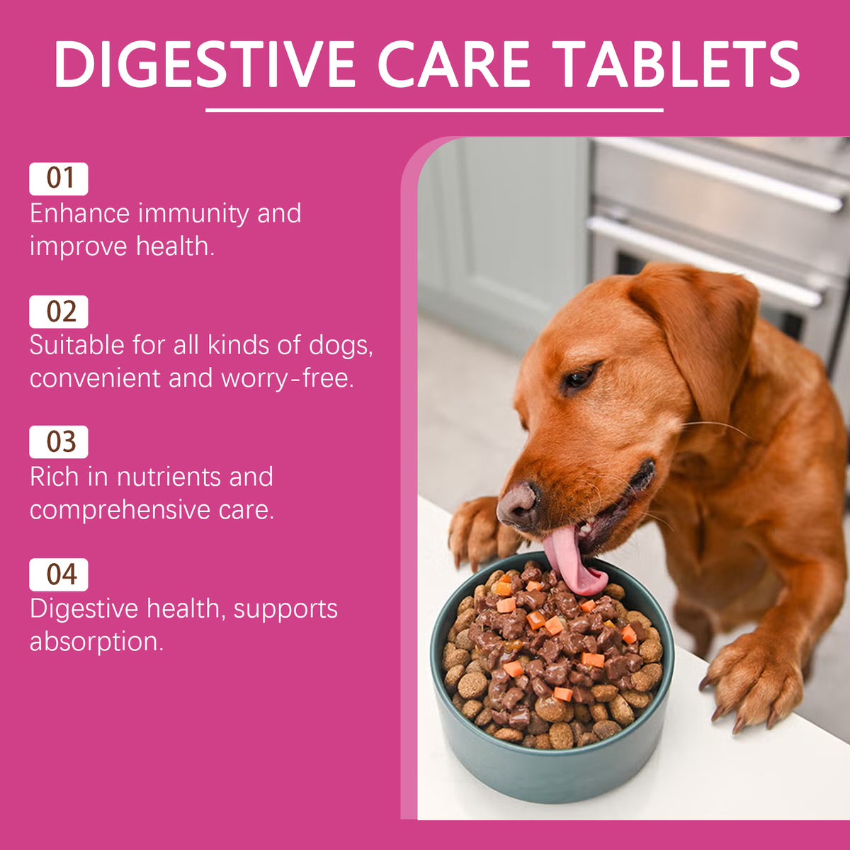 Dog Pre & Probiotic Digestive Care Tablets, Gut Health Supplement For Dogs, Supports Digestion, Immunity, Skin & Vision 
