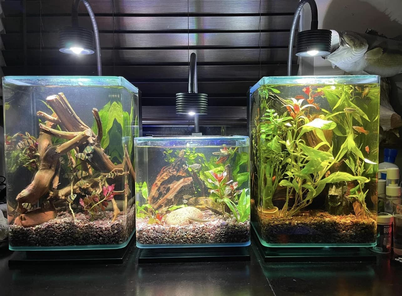 LED Aquarium Light, Planted Tank Light 4 Channels Remote Control - BIG FRENCHIES