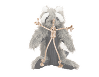 Redwood Raccoon X-Brace™ Plush Dog Toy - BIG FRENCHIES