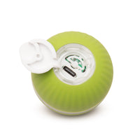 HuggleKats® PlayKat® Interactive Cat Toy - BIG FRENCHIES