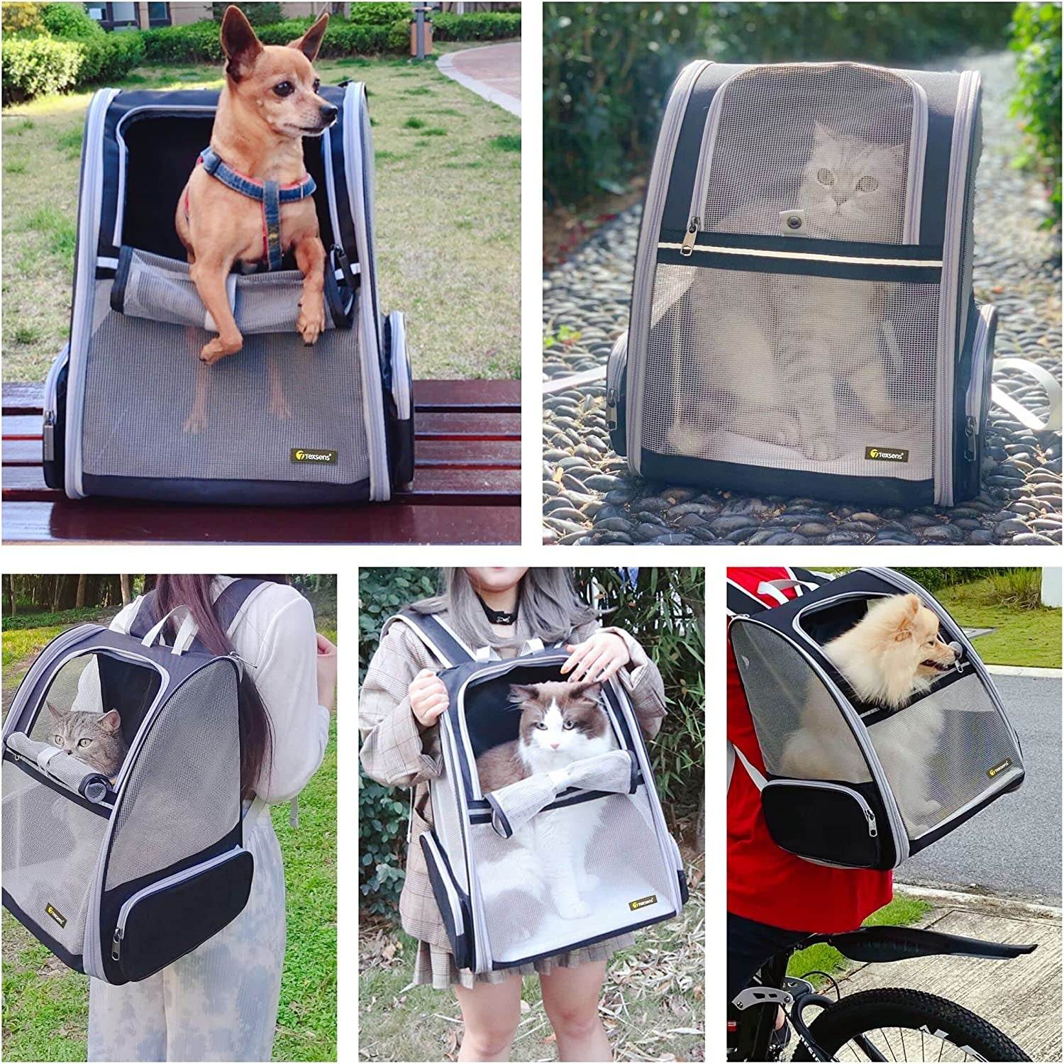 Texsens Innovative Traveler Bubble Backpack Pet Carriers for Cats and Dogs (Black) - BIG FRENCHIES