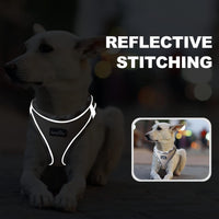 haapaw Dog Harness with Leash Set - S / Beige - image 2